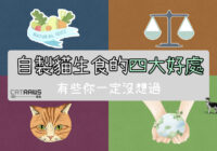 自製貓生食的四大好處-封面