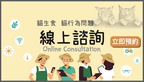 小工具線上諮詢