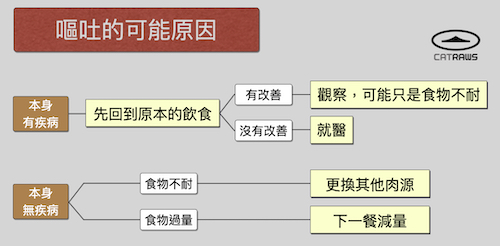 03 嘔吐的可能原因