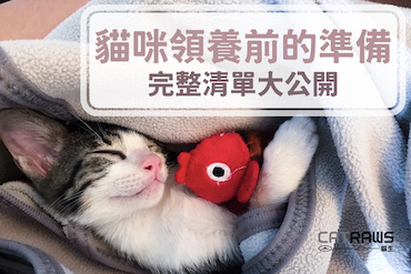 370如何做好貓咪領養前的準備-完整物品清單大公開