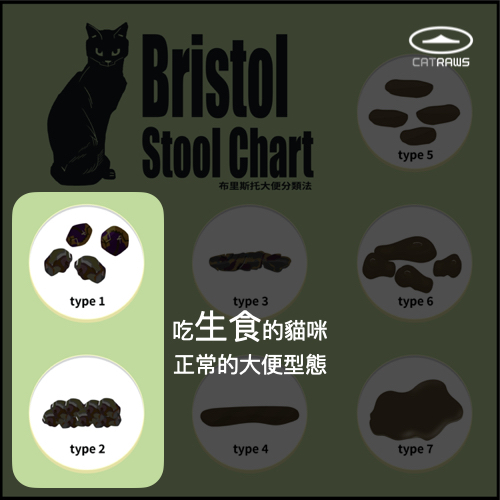 bristol stool chart布里斯托貓大便分類-吃生食