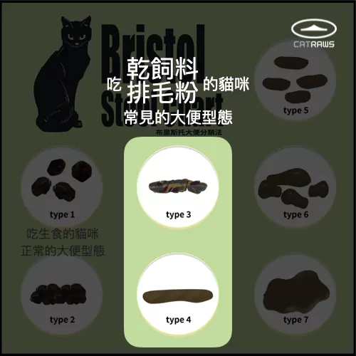 bristol stool chart布里斯托貓大便分類-吃飼料