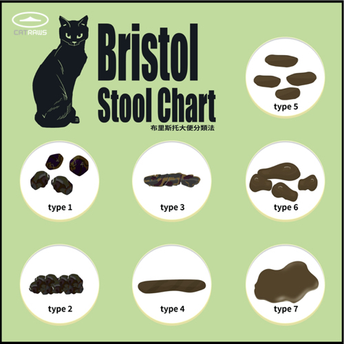 bristol stool chart布里斯托貓大便分類