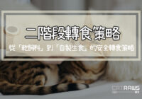 二階段轉食策略-從乾飼料轉自製生食