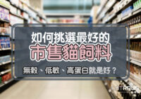 如何挑選最好的 市售貓飼料 無穀、低敏、高蛋白就是好