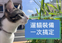 如何挑選遛貓裝備-貓咪牽繩、背帶、外出包