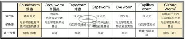 家禽類的腸道寄生蟲類型