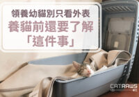 封面-領養幼貓別只看外表