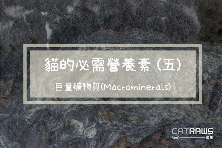 巨量礦物質(Macrominerals)