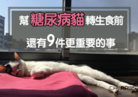 幫糖尿病貓轉生食前還有9件更重要的事.001