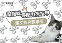 幫貓咪零壓力剪指甲圖文影音教學