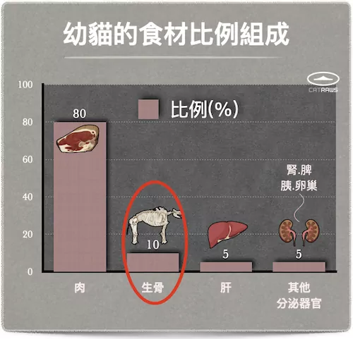 幼貓的食材比例組成項目