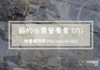 微量礦物質(Microminerals)