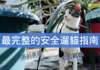 最完整的安全遛貓指南-封面