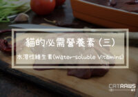 水溶性維生素 (Water-soluble Vitamins)
