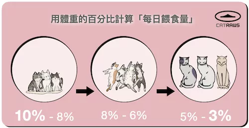 用體重的百分比計算「每日餵食量」