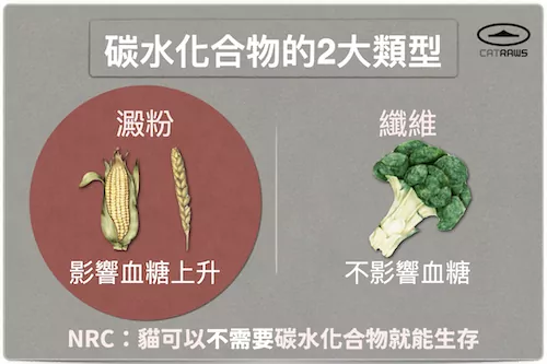 碳水化合物的2大類型