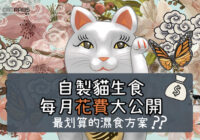 自製貓生食每月花費大公開-封面