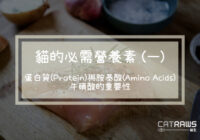 蛋白質(Protein)與胺基酸(Amino Acids) 牛磺酸的重要性