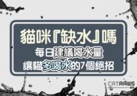 貓咪『缺水』嗎 每日建議喝水量 讓貓多喝水的7個絕招
