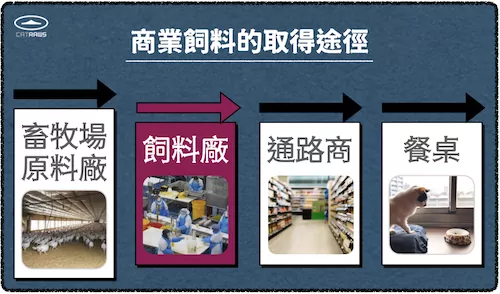 貓咪乾飼料的取得途徑