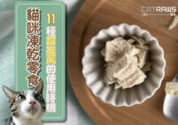 貓咪凍乾零食11種超推薦的使用時機