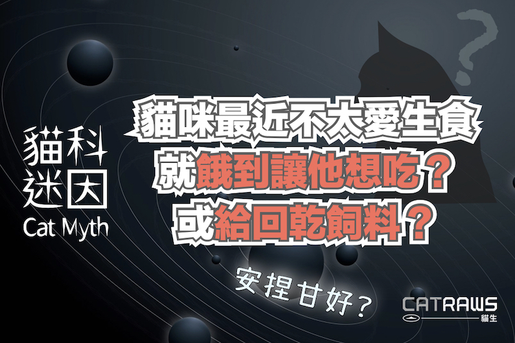 貓最近不太愛生食，就餓到讓他想吃?或給乾飼料?