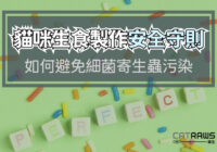 貓咪生食製作安全守則-避免細菌寄生蟲