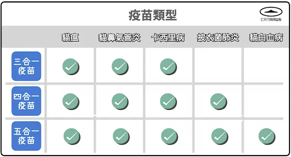 貓咪疫苗類型-三合一四合一五合一