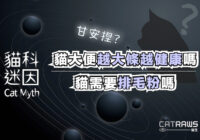 貓大便越大絛越健康嗎？貓需要排毛粉嗎