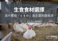 貓生食爲什麼用 「家禽類」為主要肉類來源