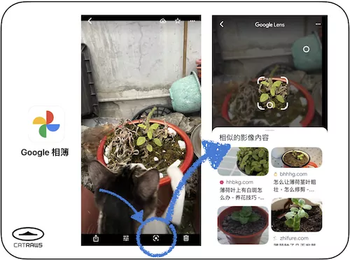 遛貓好用工具-google相簿