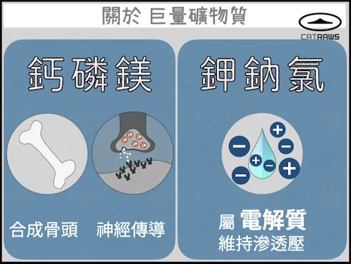 關於巨量礦物質