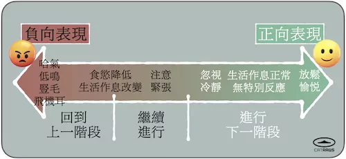 貓咪的正負向情緒表現