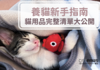 養貓新手指南-貓用品完整清單大公開