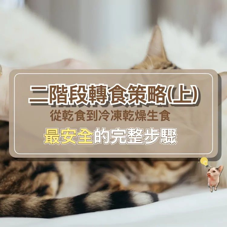 02二階段轉食策略(上）