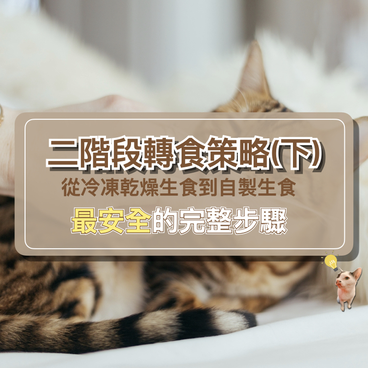 03二階段轉食策略(下）